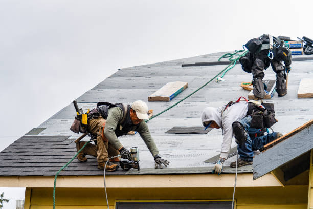Professional Flat Roof Repair technician working in Burrows, IN